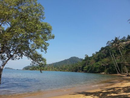 IMG-20170130-WA0019