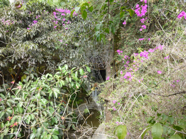 P1050344