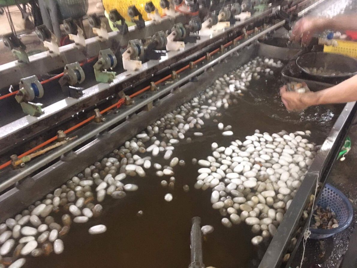 received_10212679575091205