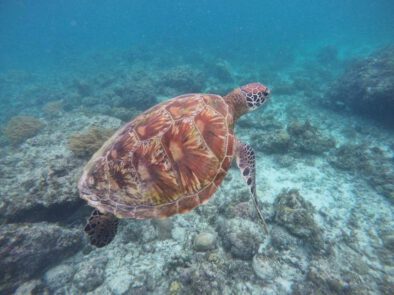 FB_IMG_1489071100959