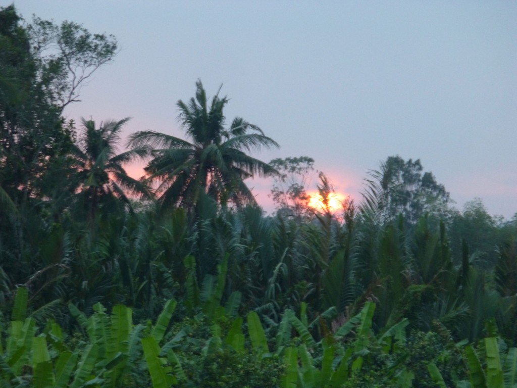 P1050463
