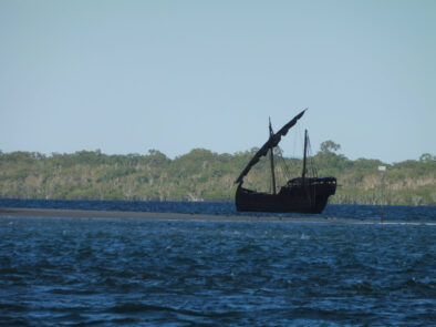 0$Images$220_102_PANAP1020718JPG