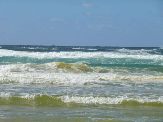 0$Images$226_102_PANAP1020724JPG