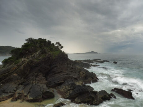 0$Images$262_102_PANAP1020590JPG