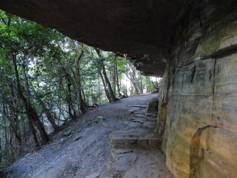 0$Images$275_102_PANAP1020541JPG