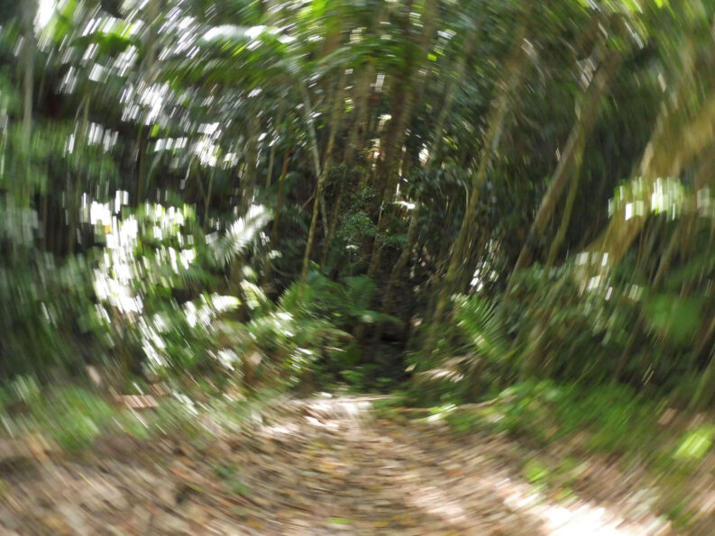 0$Images$58_102_PANAP1020754JPG