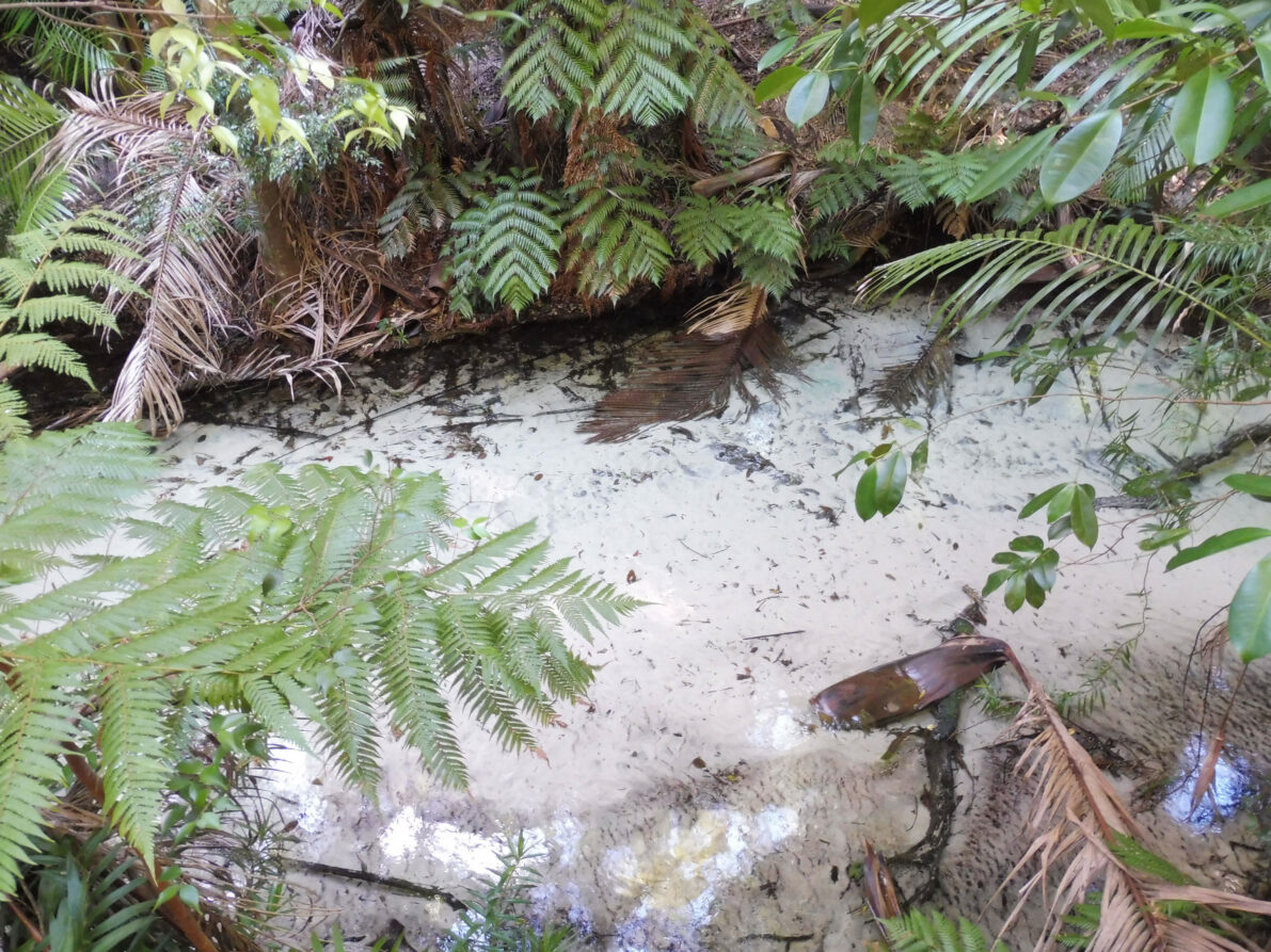 0$Images$64_102_PANAP1020760JPG