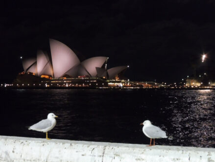 0$Images$69_102_PANAP1020803JPG