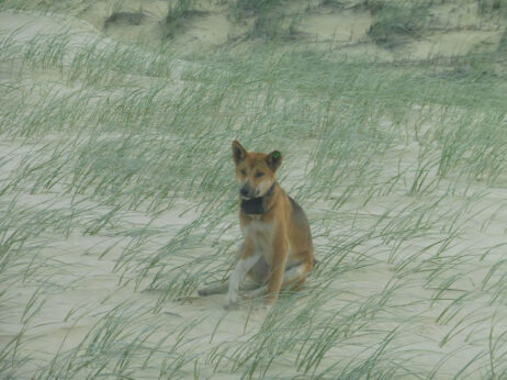 0$Images$70_102_PANAP1020766JPG