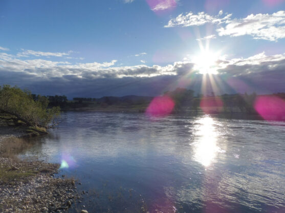 0$Images$83_102_PANAP1020617JPG