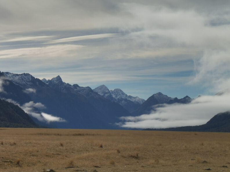 0$Images$123_103_PANAP1030487JPG