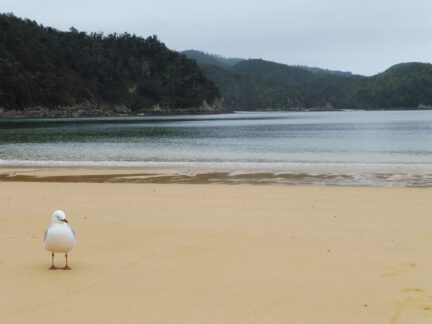 0$Images$163_103_PANAP1030254JPG