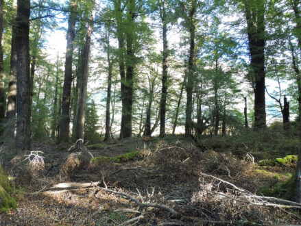 0$Images$283_103_PANAP1030660JPG