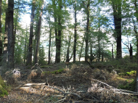 0$Images$283_103_PANAP1030660JPG