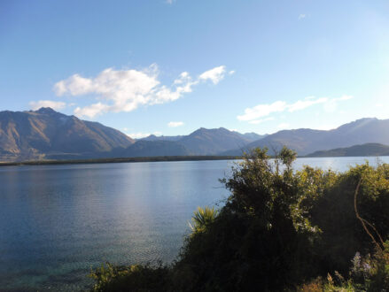 0$Images$285_103_PANAP1030662JPG