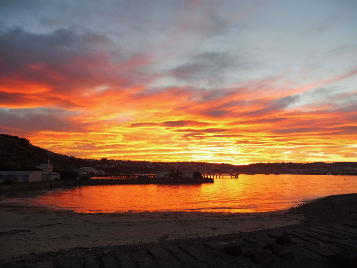 0$Images$51_103_PANAP1030702JPG