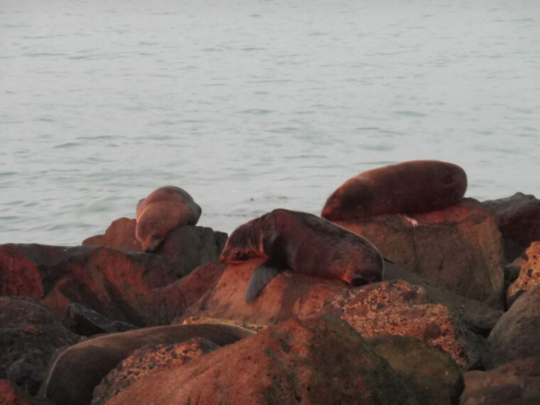 0$Images$59_103_PANAP1030710JPG