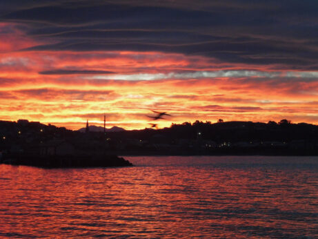 0$Images$63_103_PANAP1030714JPG