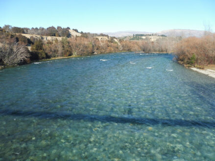 0$Images$90_103_PANAP1030673JPG