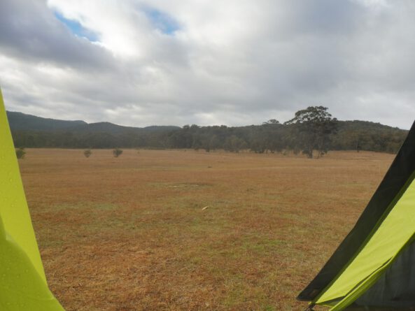 0$Images$159_103_PANAP1030868JPG