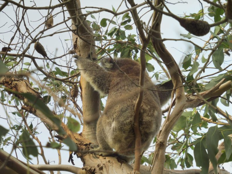 0$Images$67_104_PANAP1040592JPG